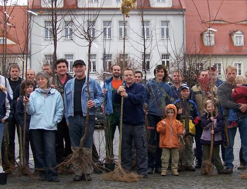 Regio Crowd